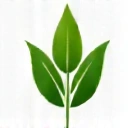 Green leaf icon representing nature and well-being